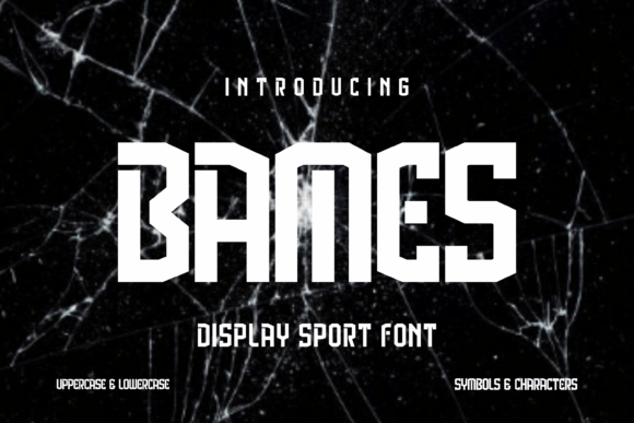 Bames Font Review: A Designer’s Take on Display Type