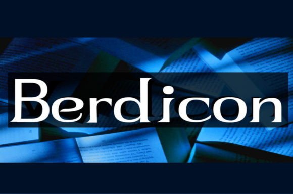 Berdicon Font: Bold Display Type for Craft Products