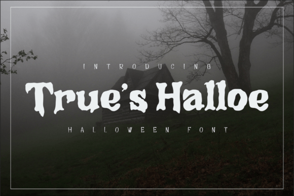 True s Halloe Font: A Web Designer’s Layout Test